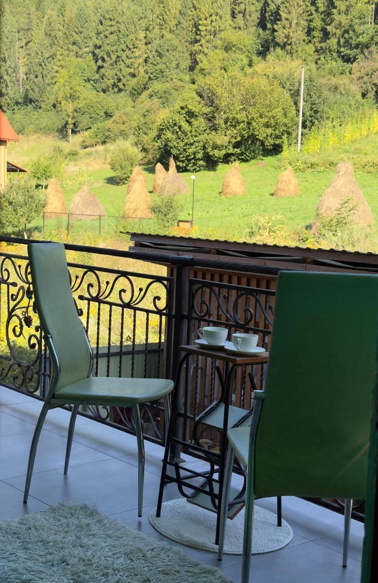 Під Боржавою Volovets Bagian luar foto